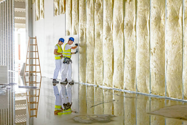 Best Residential Insulation in Kingstree, SC